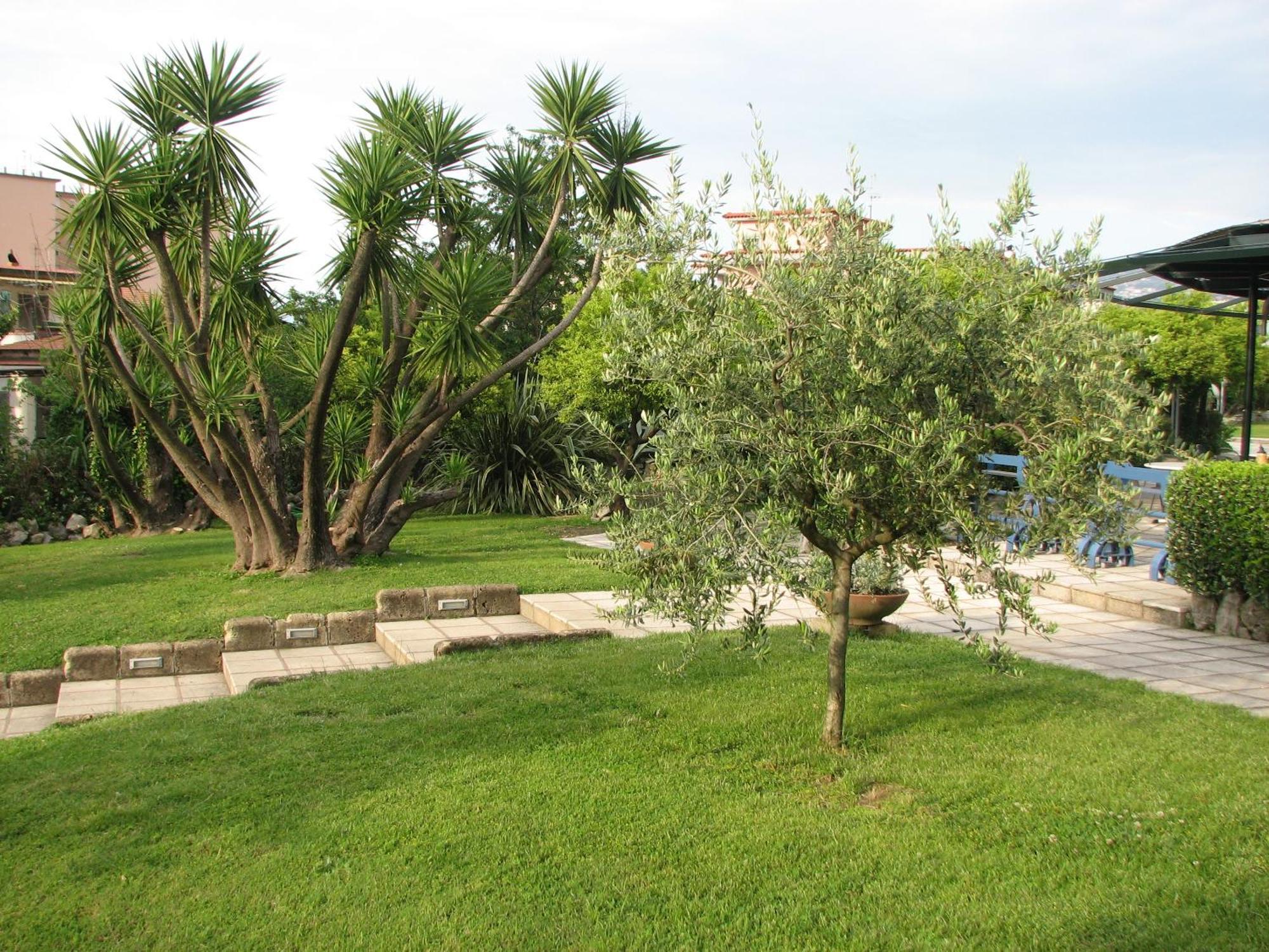 Hotel Parco Castellammare di Stabia Extérieur photo